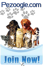 Join Pezoogle.com - Why should humans have all the fun?