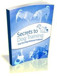 Secrets To Dog Training: Stop Your Dog's Behavior Problems!