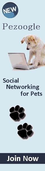 Pezoogle Tall-Large Banner Ad [160x600]